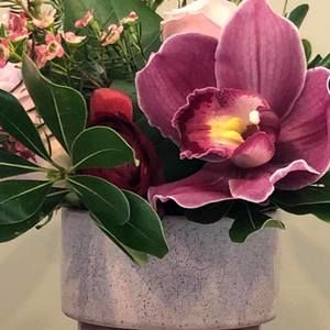 Meet your Posher, Connie